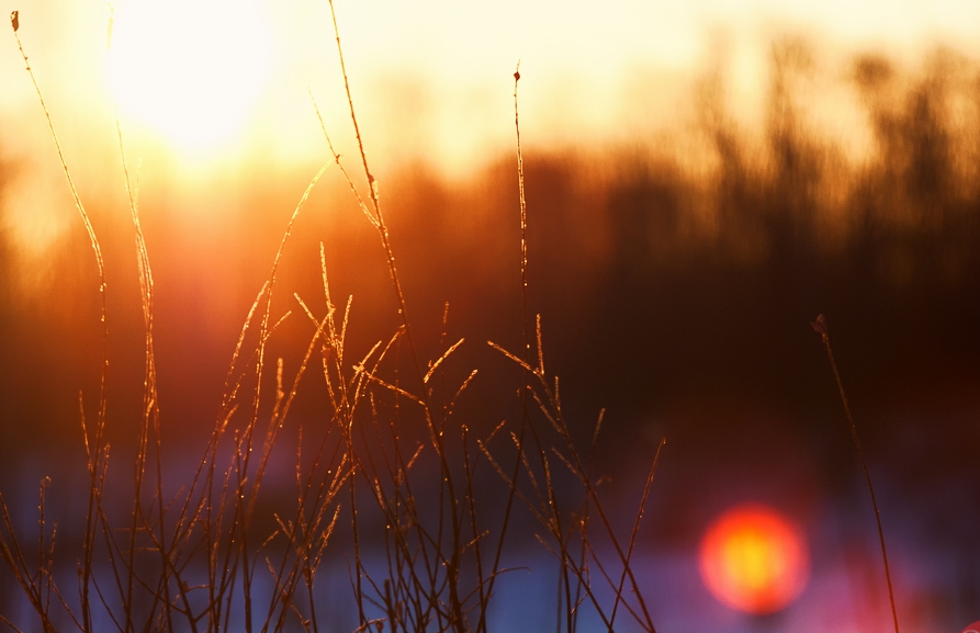 awake in the world : stay woke