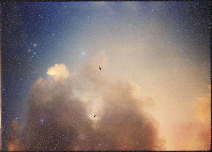 Vibrate the Cosmos