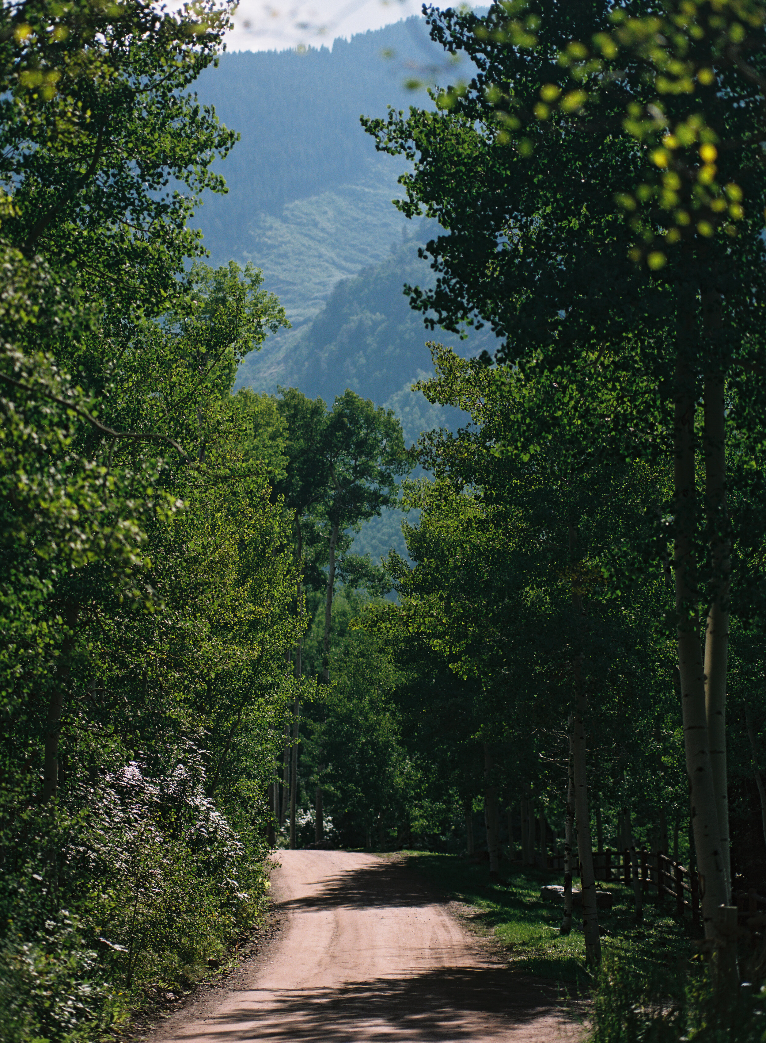 002633-R1-010.jpg
