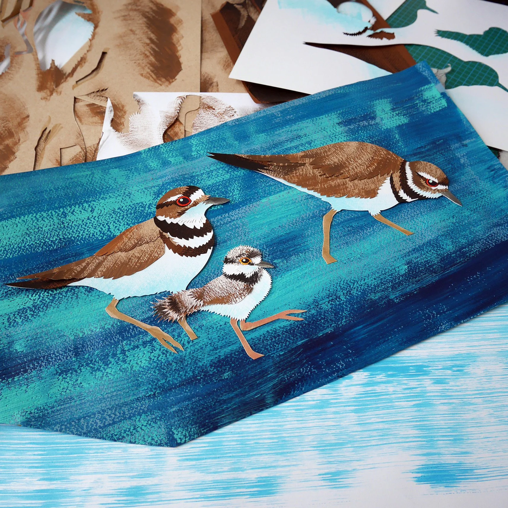 3_killdeer_pic.jpg