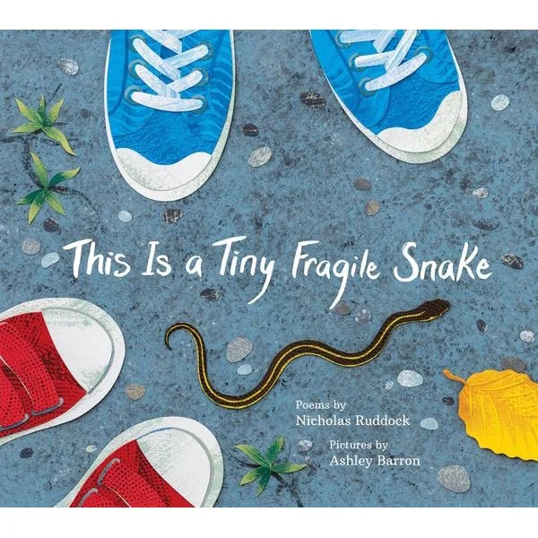 book_this-is-a-tiny-fragile-snake_covericon.jpg