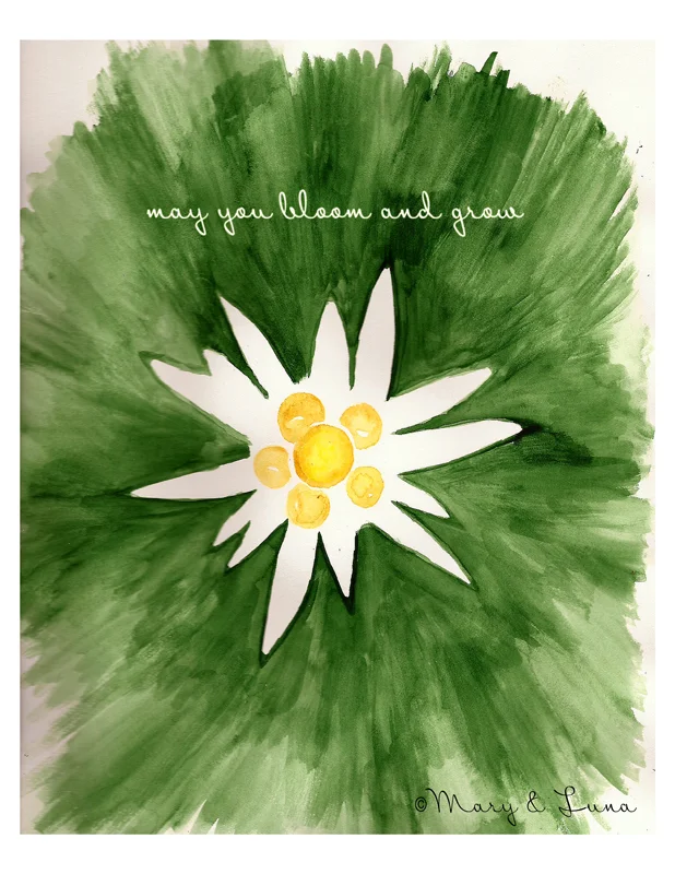 11. edelweiss print 8x10_tag800.jpg