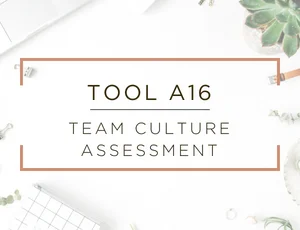 Free Business Assessment Tool 16.jpg