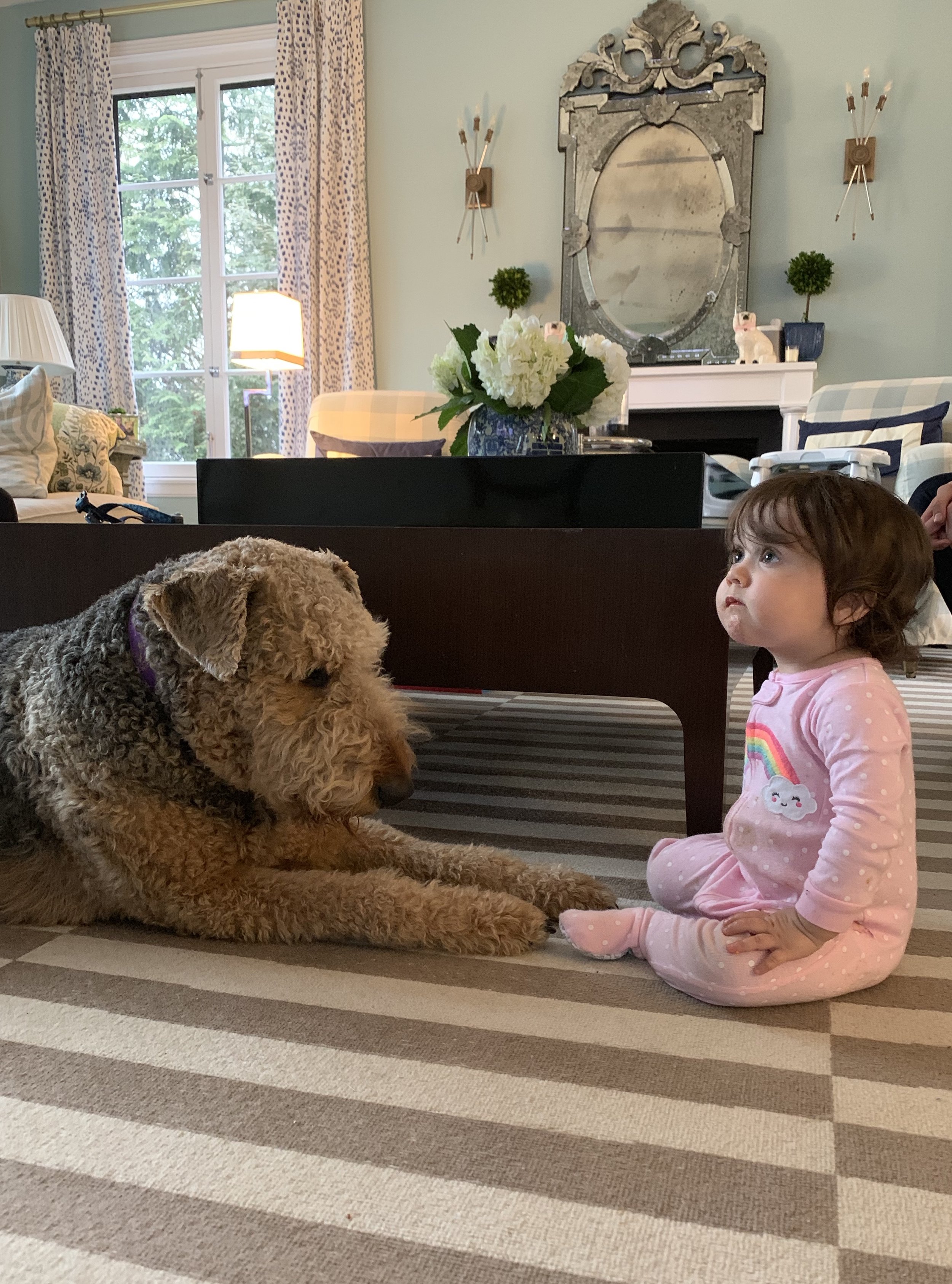 What I’ve been up to — dog, baby, house