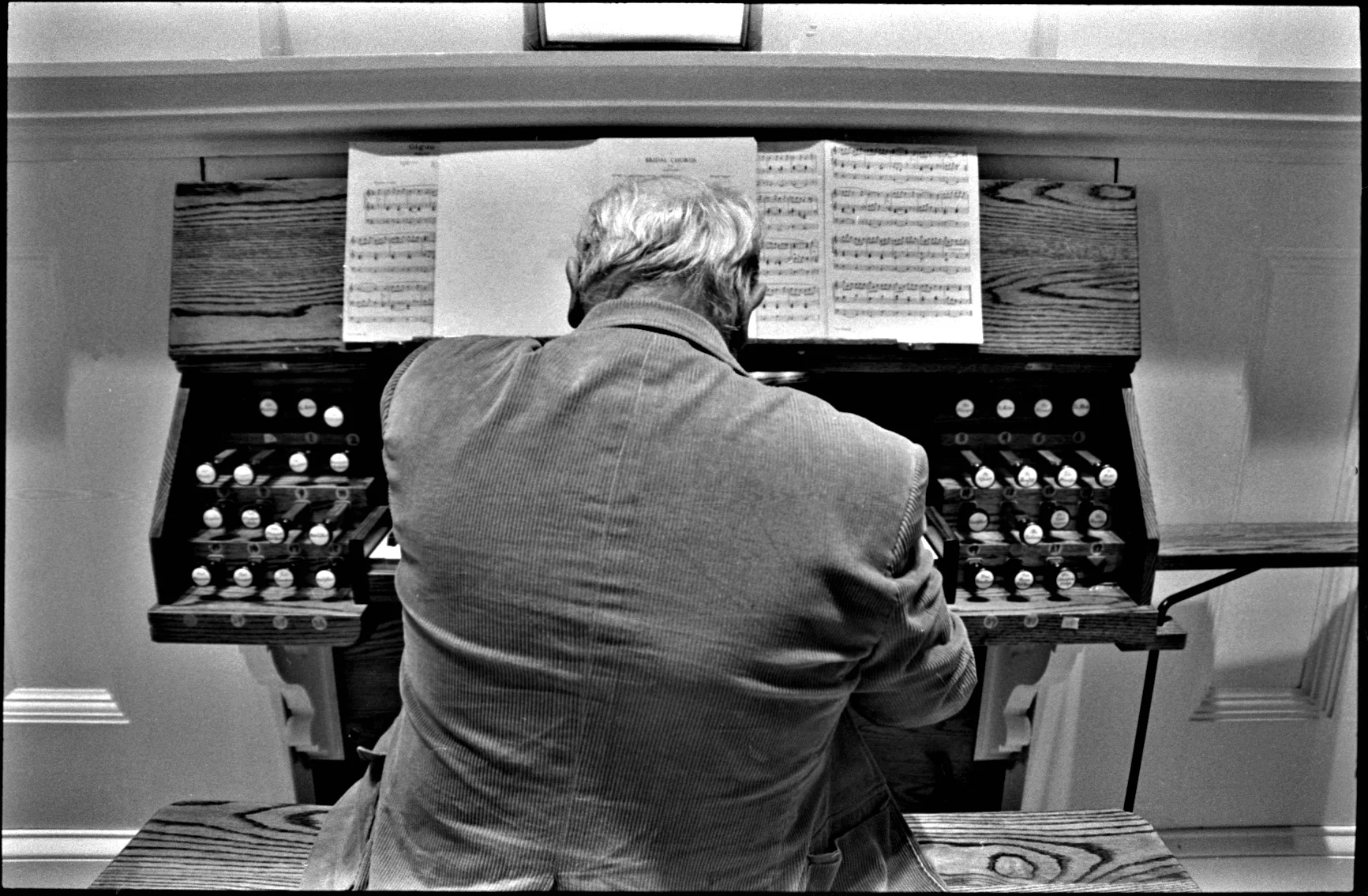 3.organ_player_CU-copy.jpg