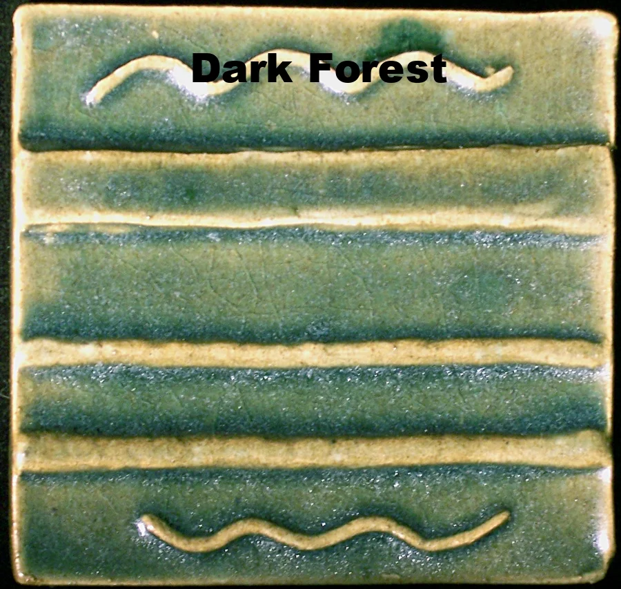 Dark Forest chip.jpg