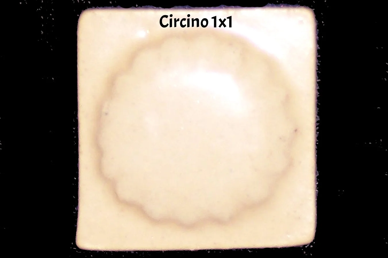 Circino Bone.jpg