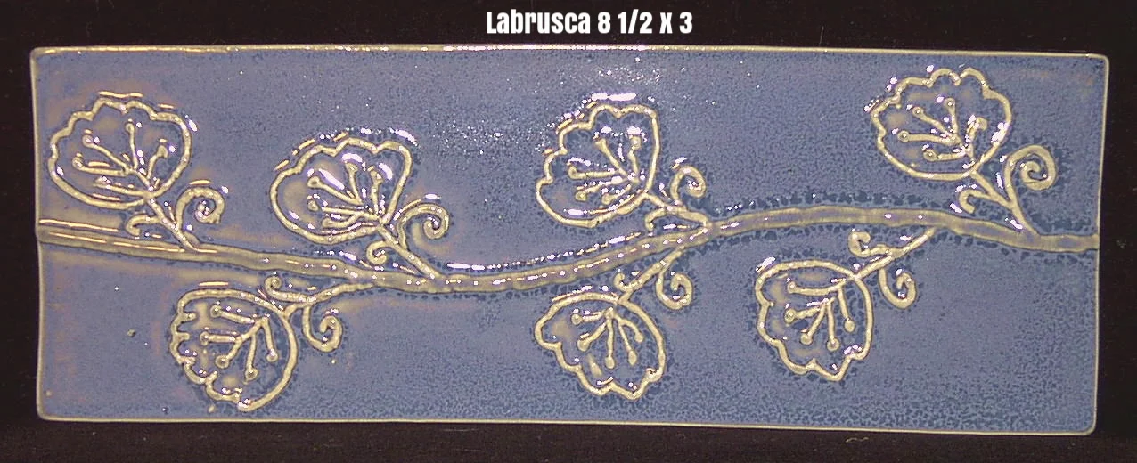 Labrusca Soft Blue.jpg