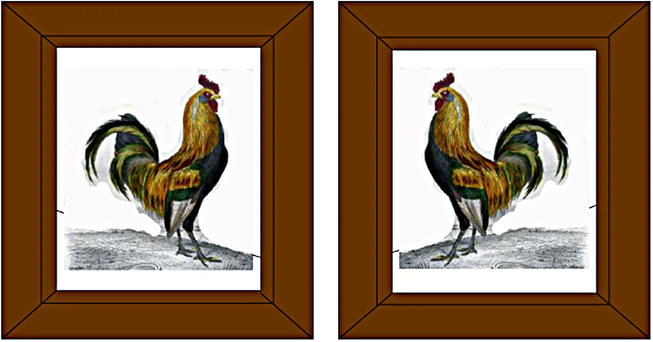 Rooster color sketch w-brown frame.jpg