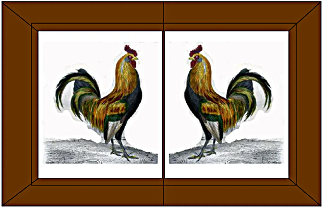 2 Rooster color sketch w-brown frame.jpg