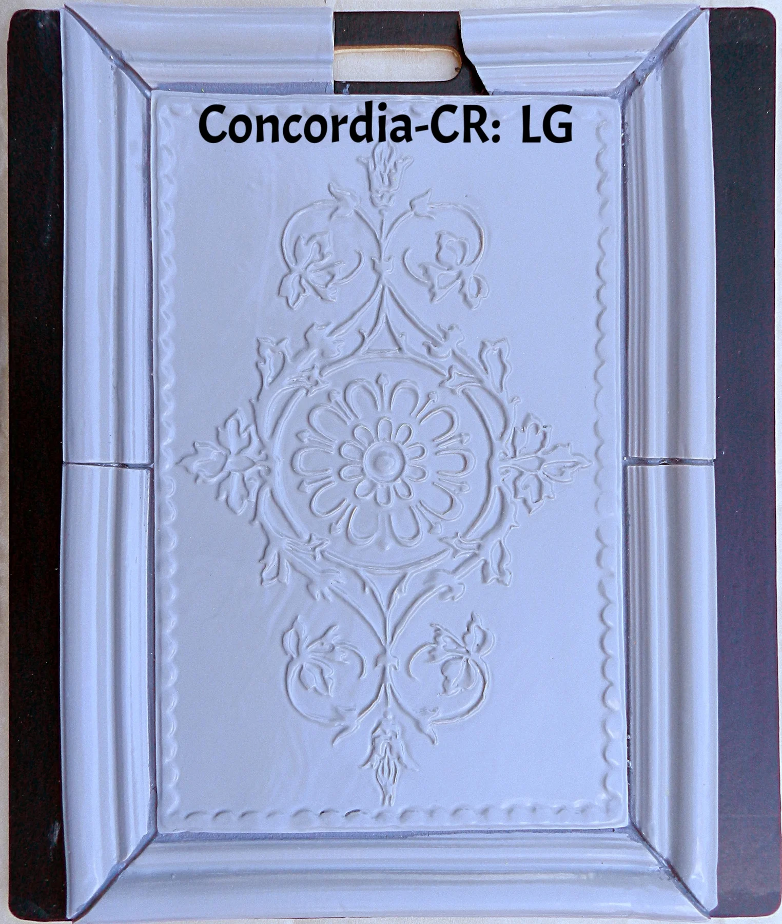 Concordia w-CR board LG.jpg