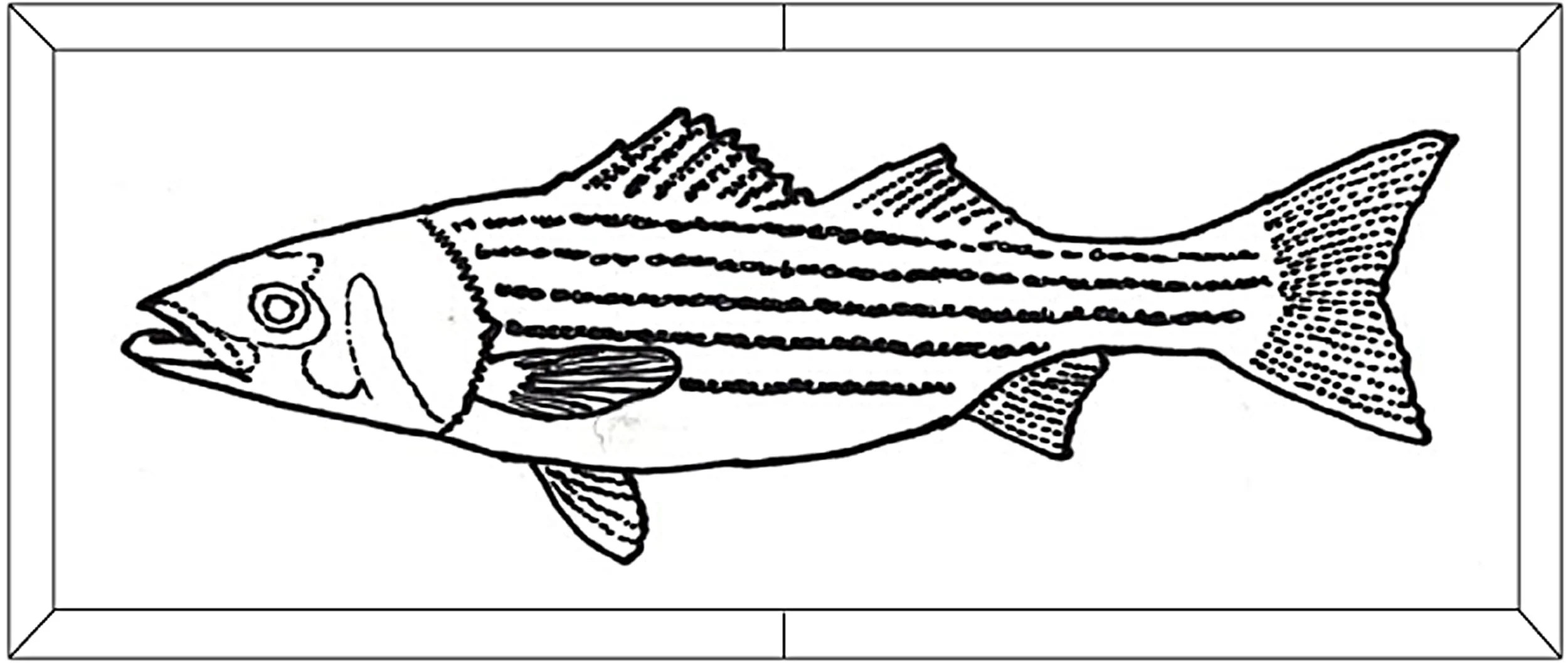 Fish Medallion Sketch.jpg