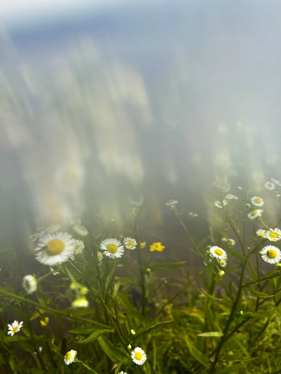 Colgate Lake #2. Digital Chromogenic Print  2023