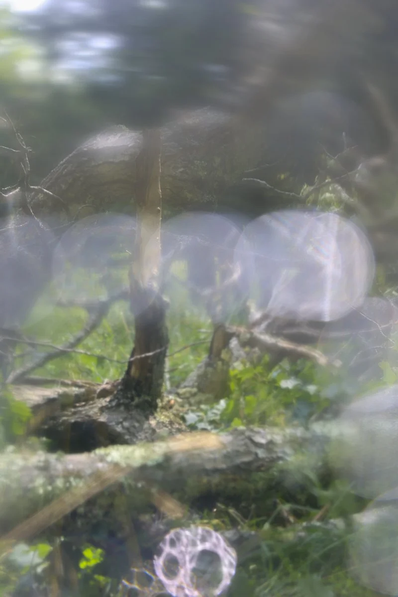 East Jewett #4. Digital Chromogenic Print  2023