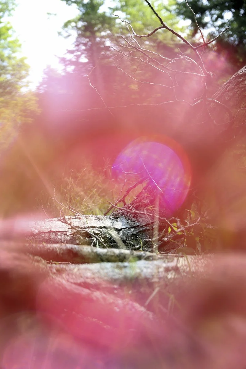 East Jewett #1. Digital Chromogenic Print. 2023