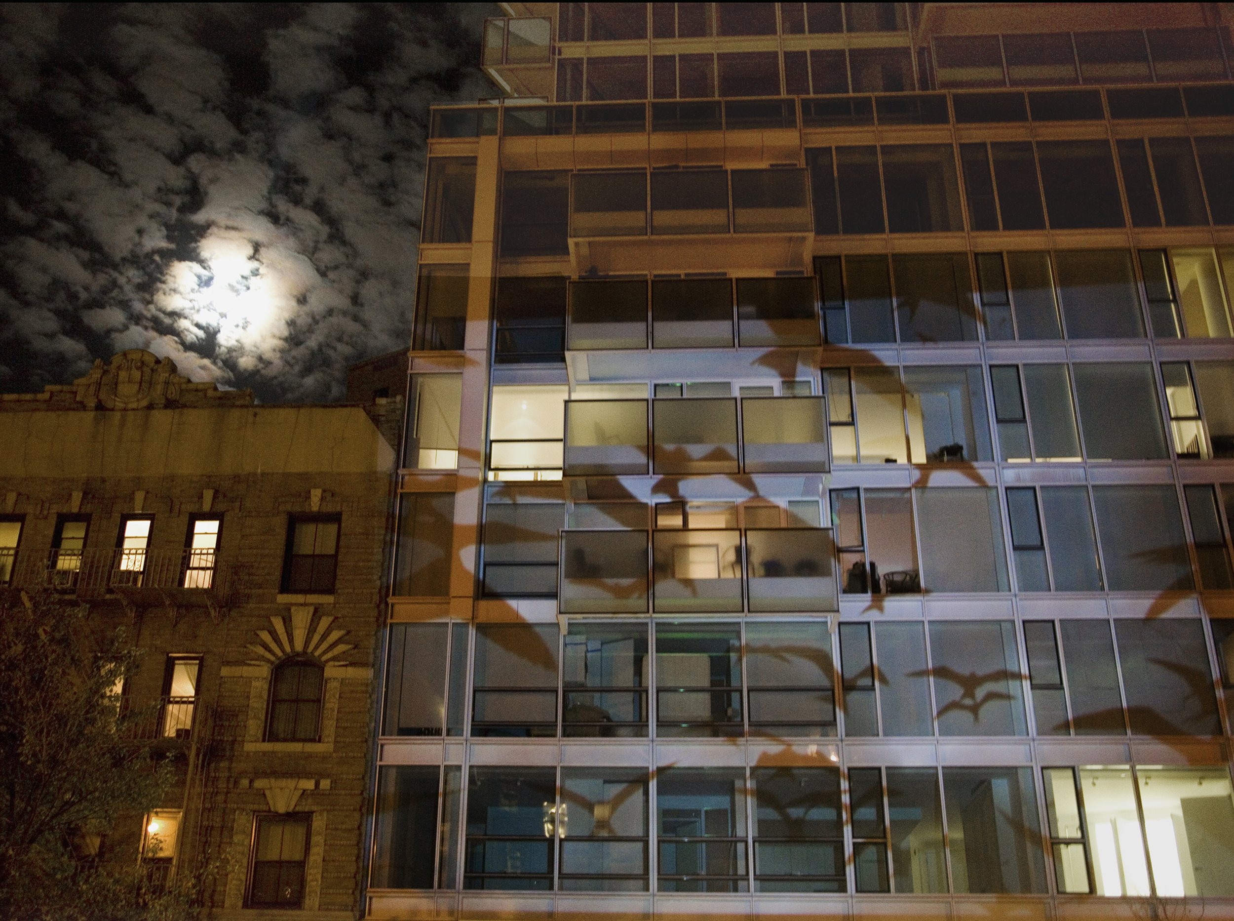 Meier’s On Prospect Park with Bird Migration. Digital Chromogenic Print. 26”x 40"