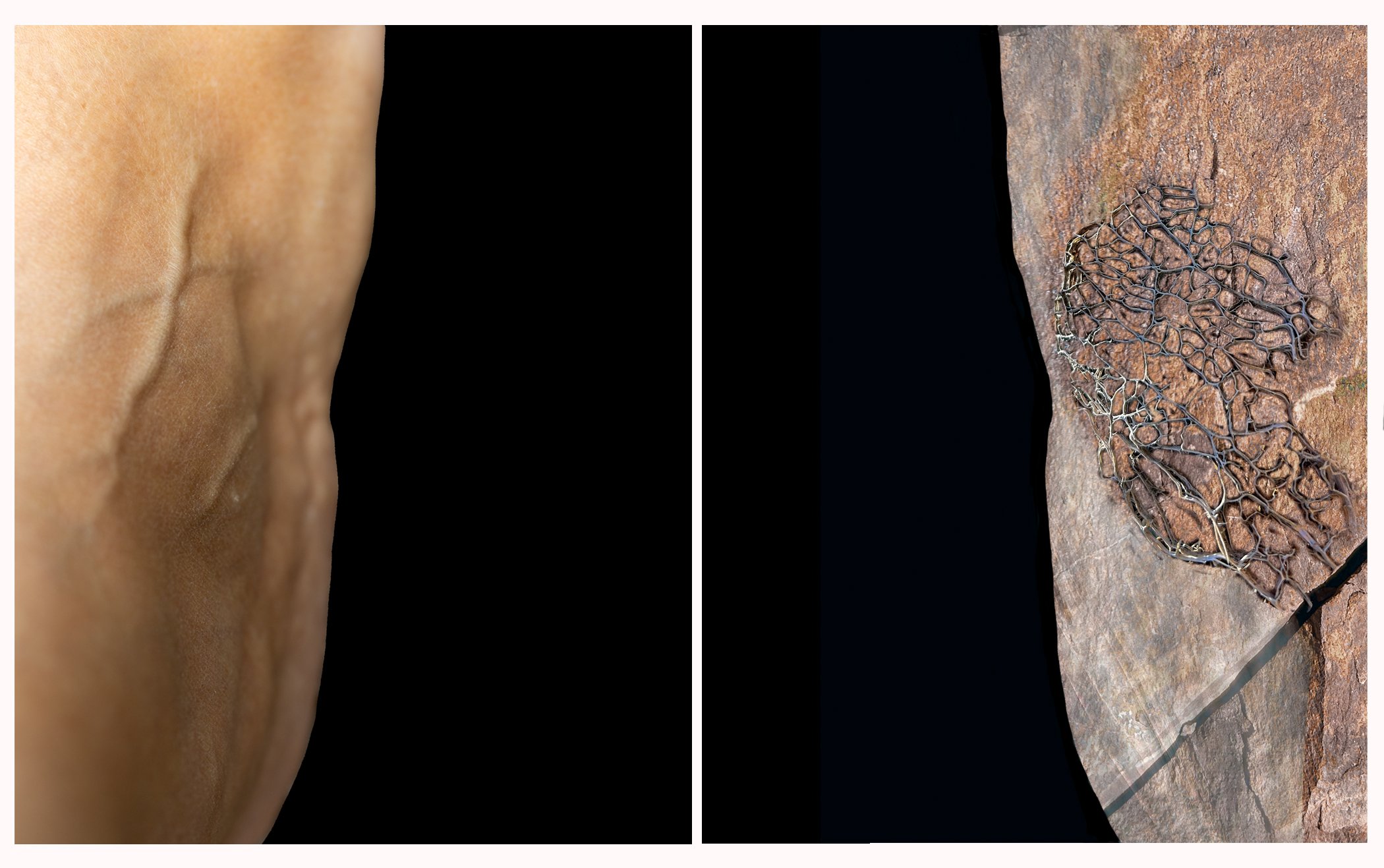 Human/Nature 2. Diptych. Digital chromogenic prints. 11" x 28," 2024