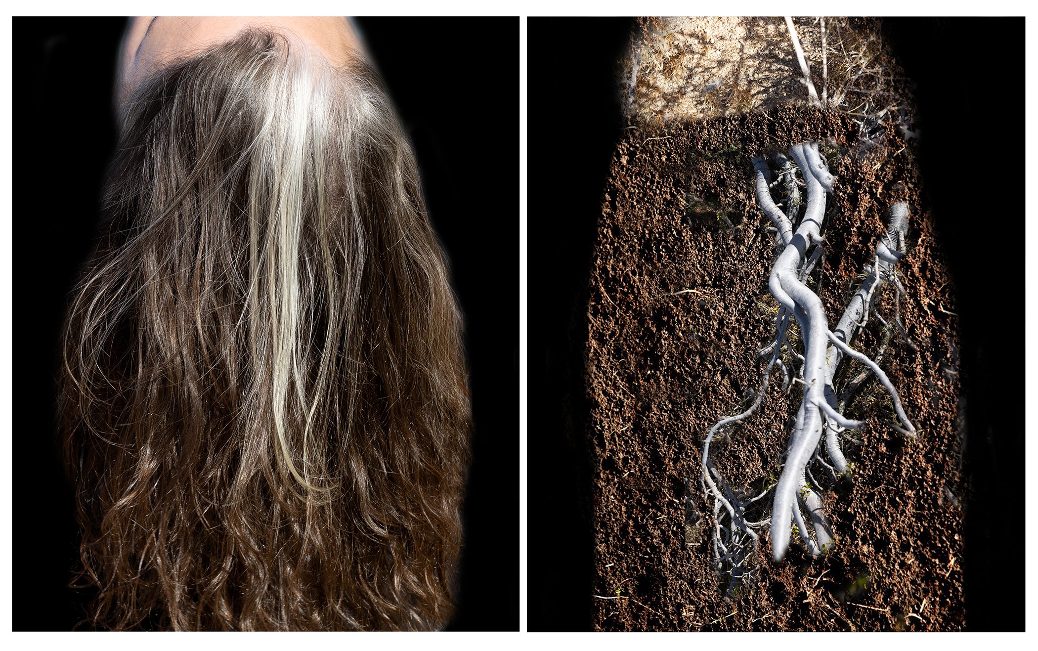 Human/Nature 1. Diptych. Digital chromogenic prints. 11" x 28," 2024