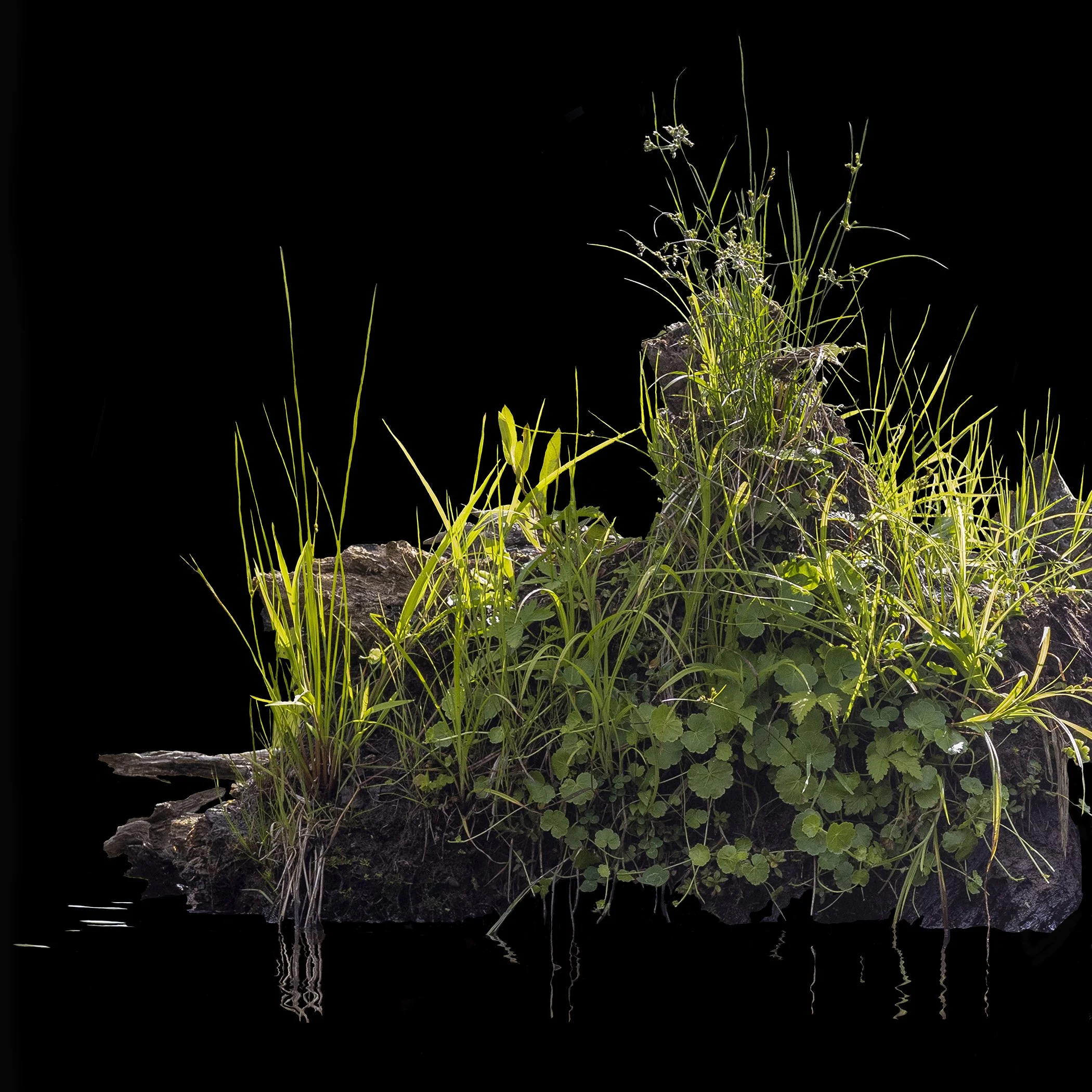 Levey_Jess_07.jpg