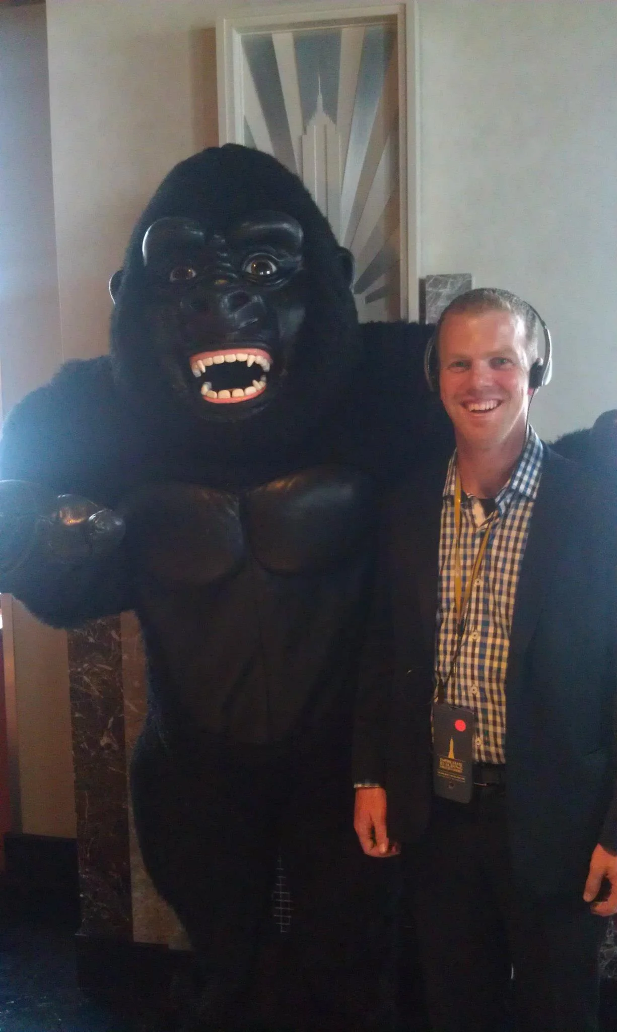 Shandy Showed Me My 2015 (End of Year Update)