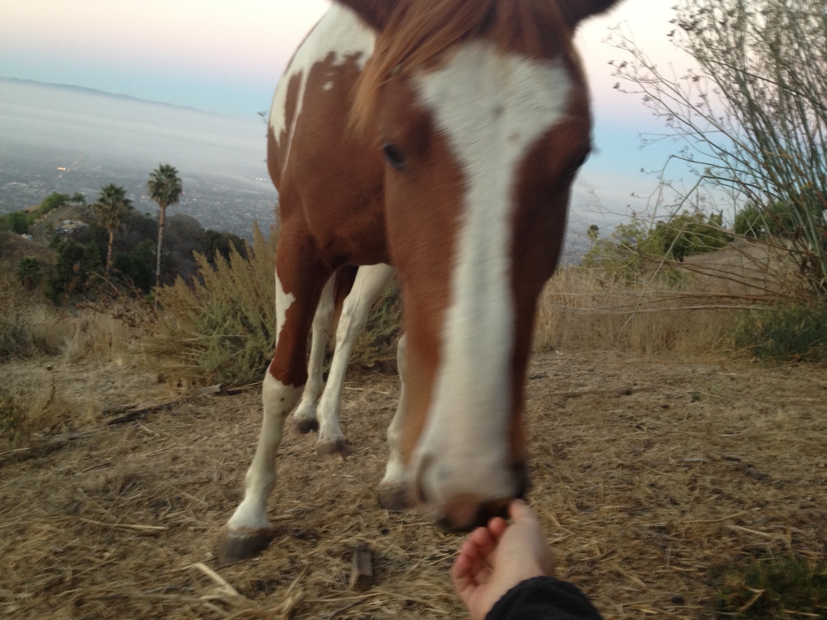 Check Out What Praying in Nature Reveals
