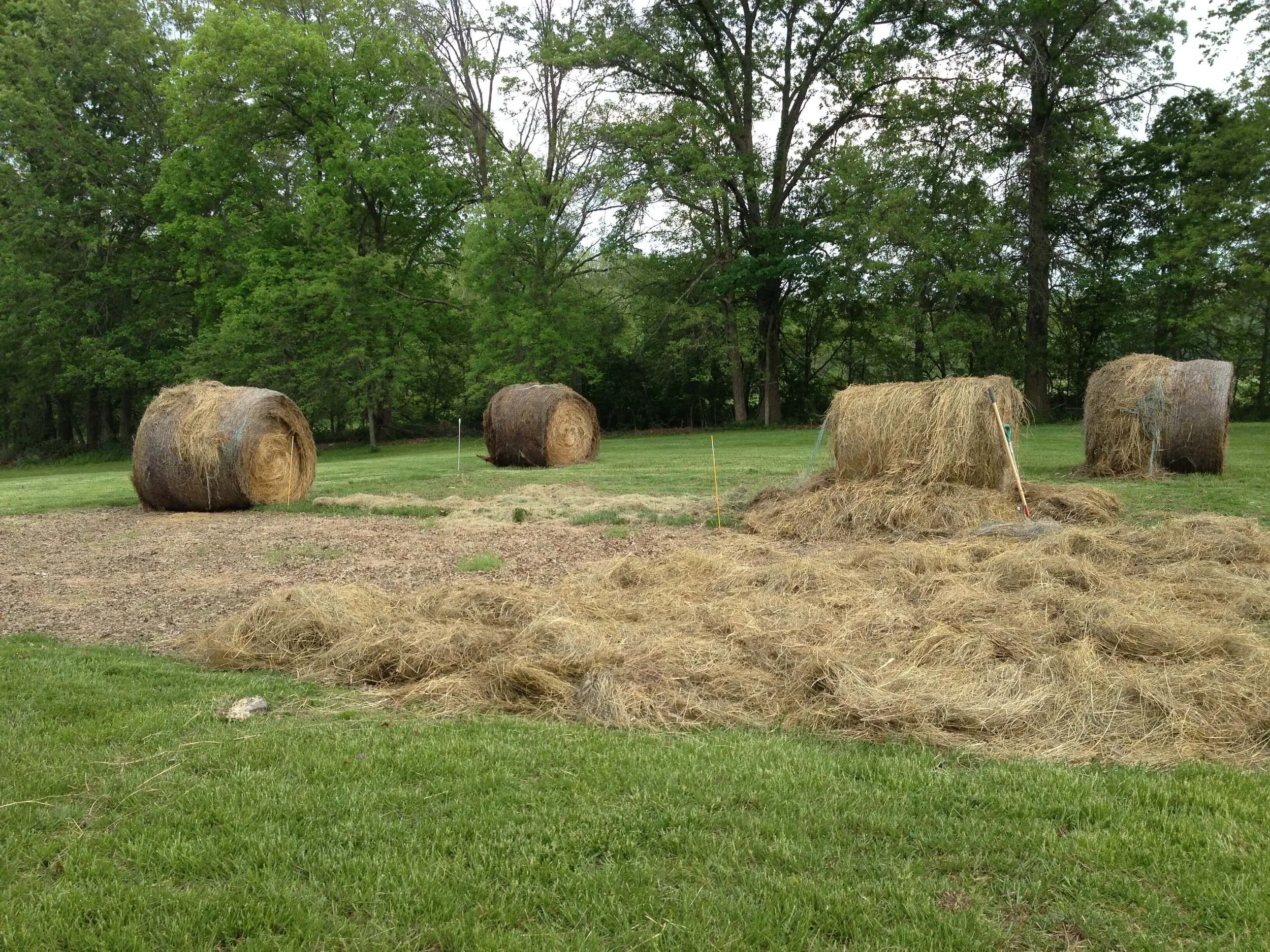 Hay on the Garden — Day to Day Adventures