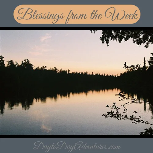 Blessings from this week volume 2