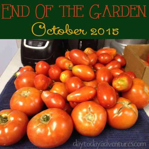 End of the Garden (for this year)