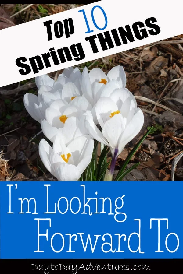 10 Spring Things I am Looking Forward to — Day to Day Adventures