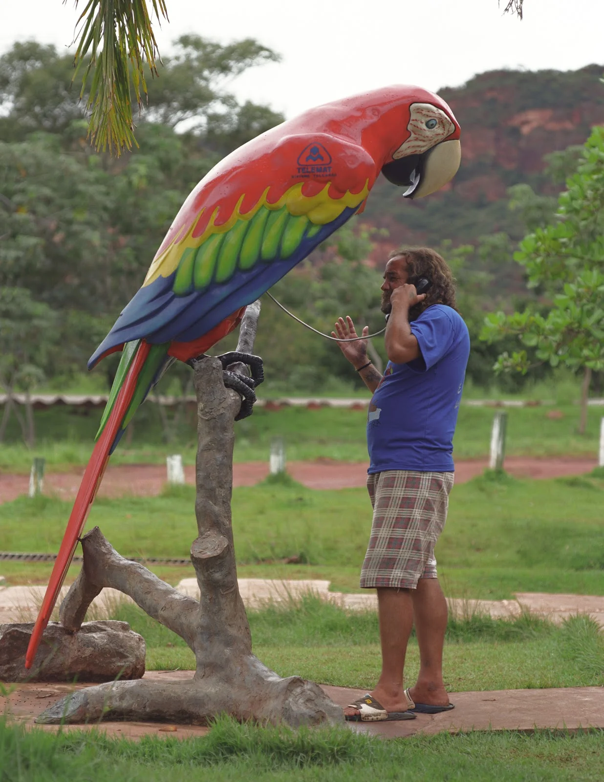 Telephones of Paradise