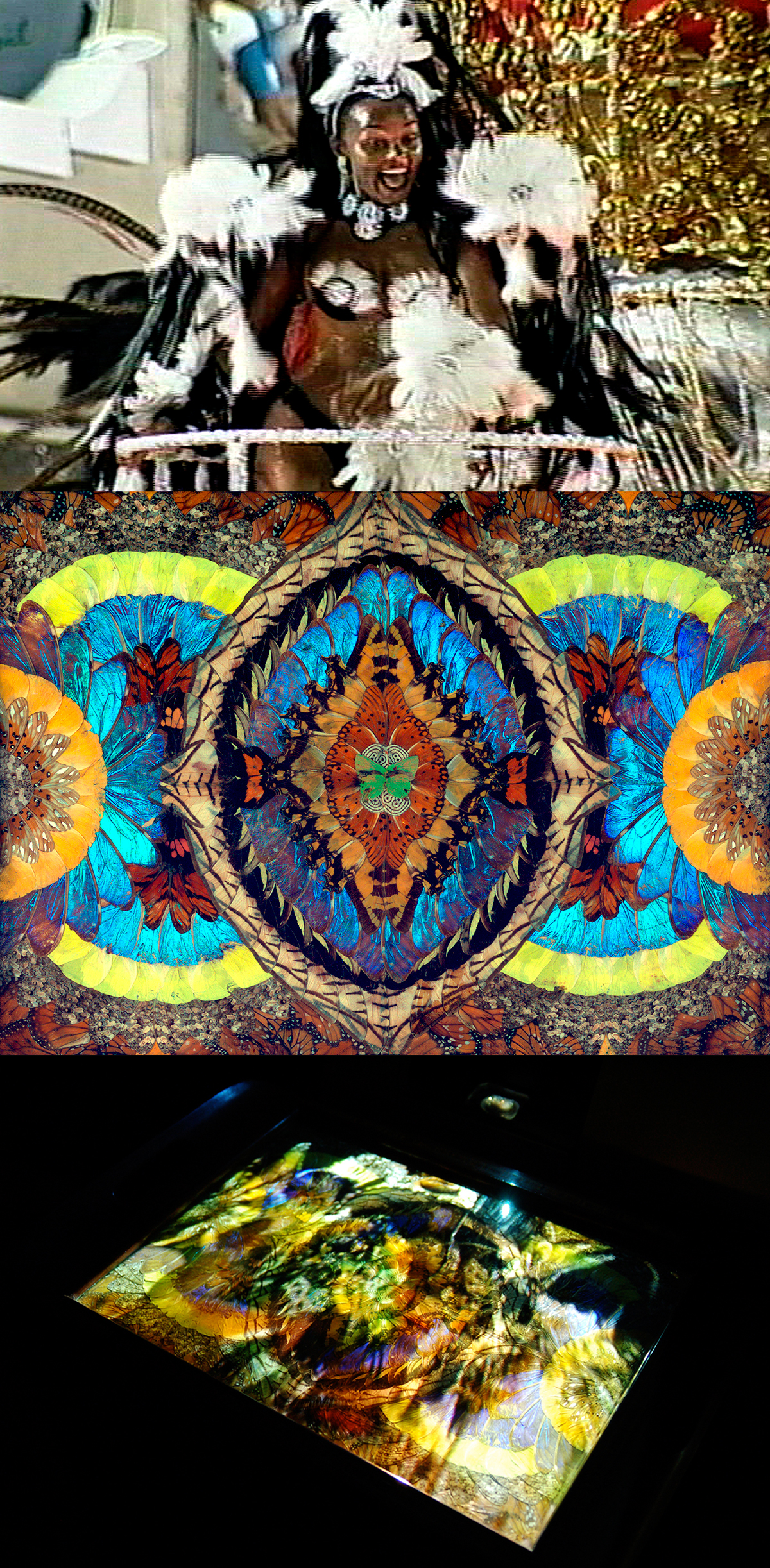 Mass Ornament, Video projection (Carnaval) over butterfly wings tray - 20 min., 1999