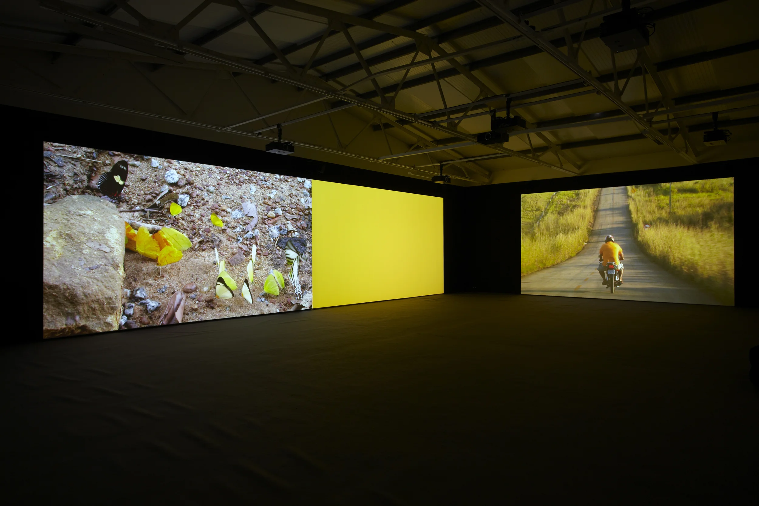 Sergio Vega Paradise-Real Time (a).jpg