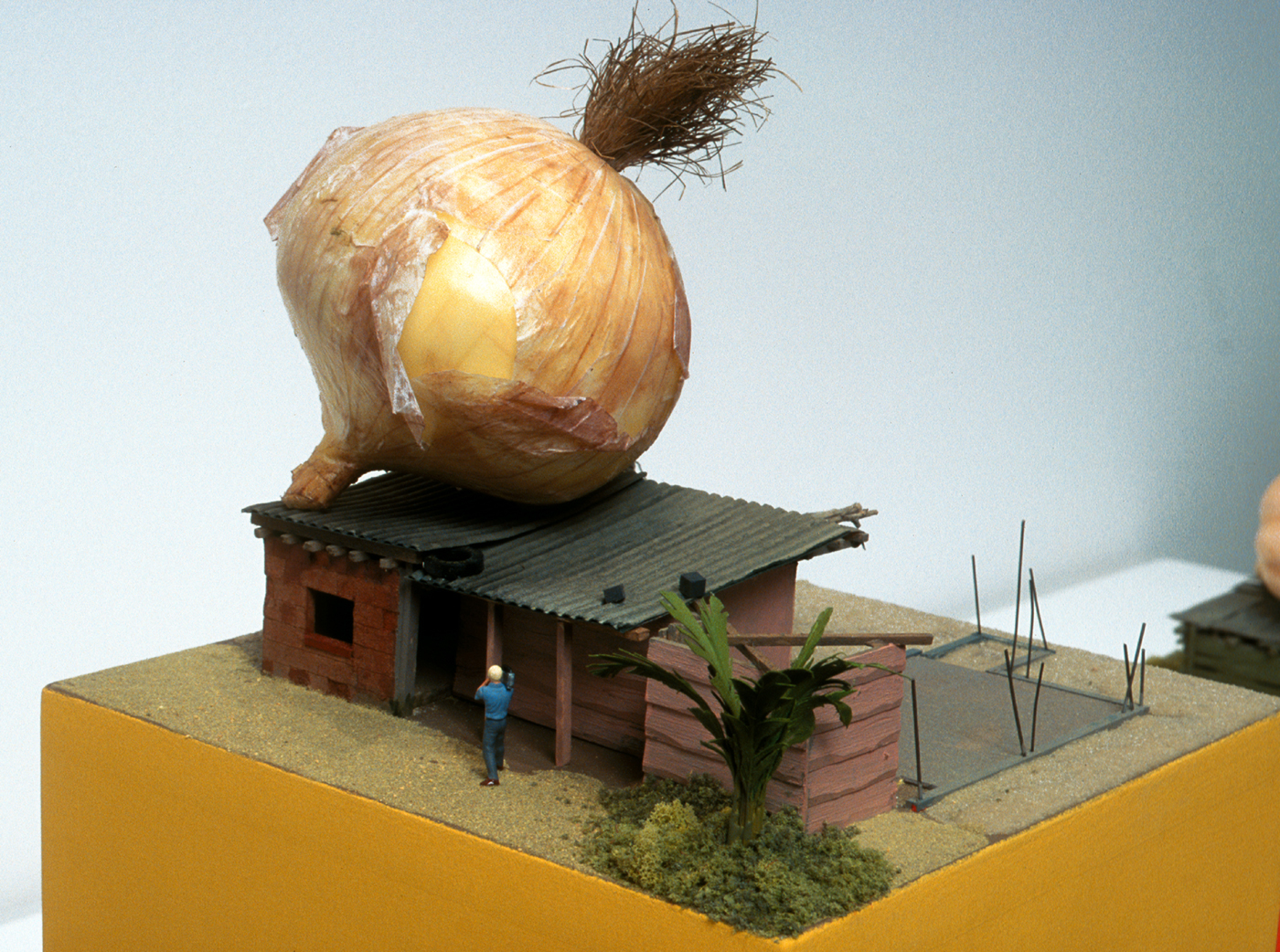 Structuralist study of poverty (onion)  copy.jpg