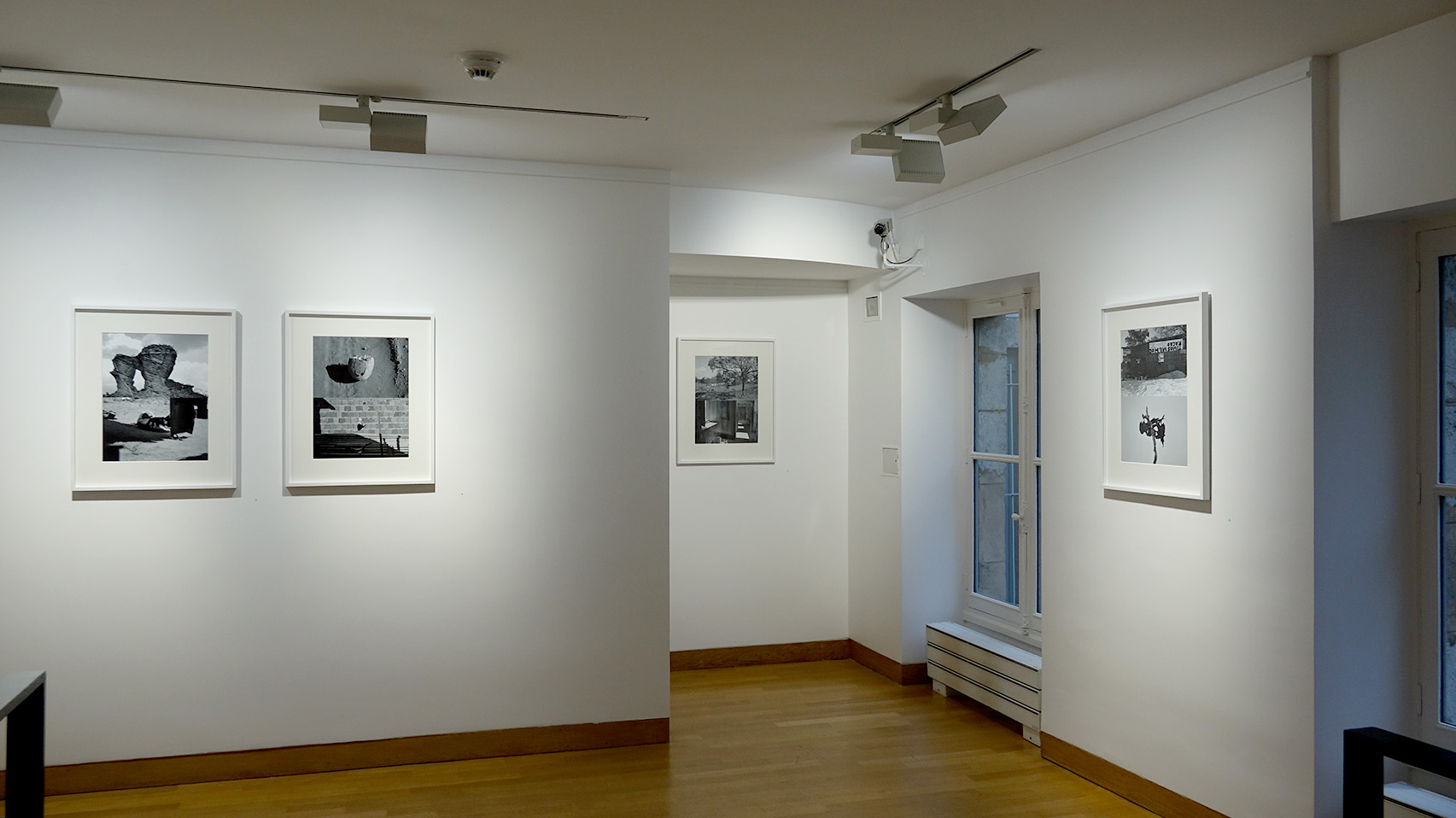DSC01104-light.jpg