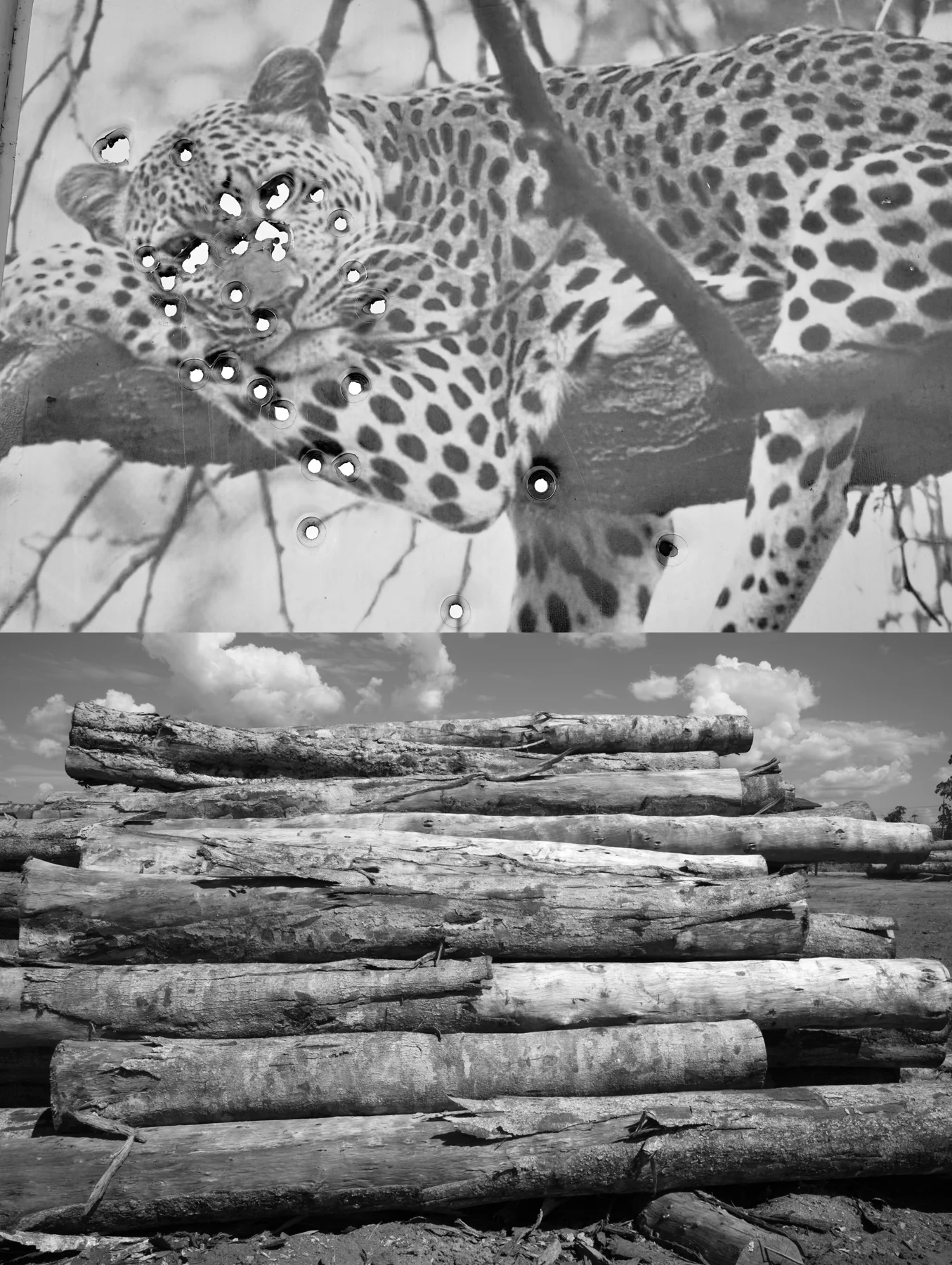 Bullets and Logs