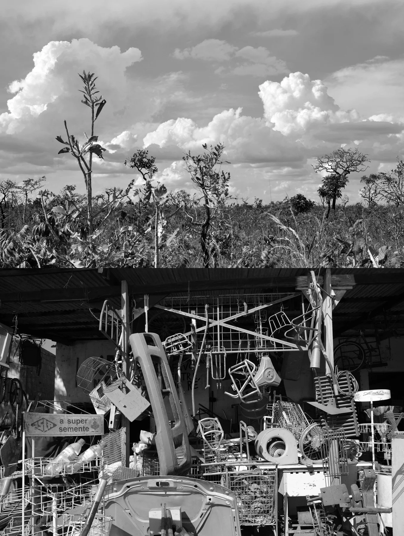 Tinguely's Sabana