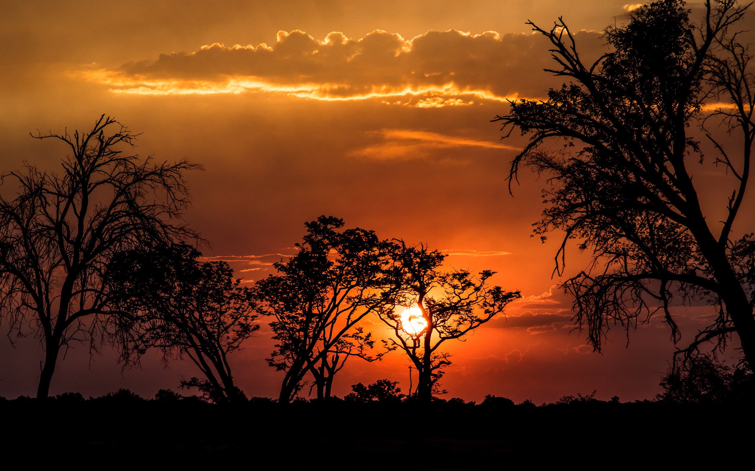 Africa Sunset Silhouette