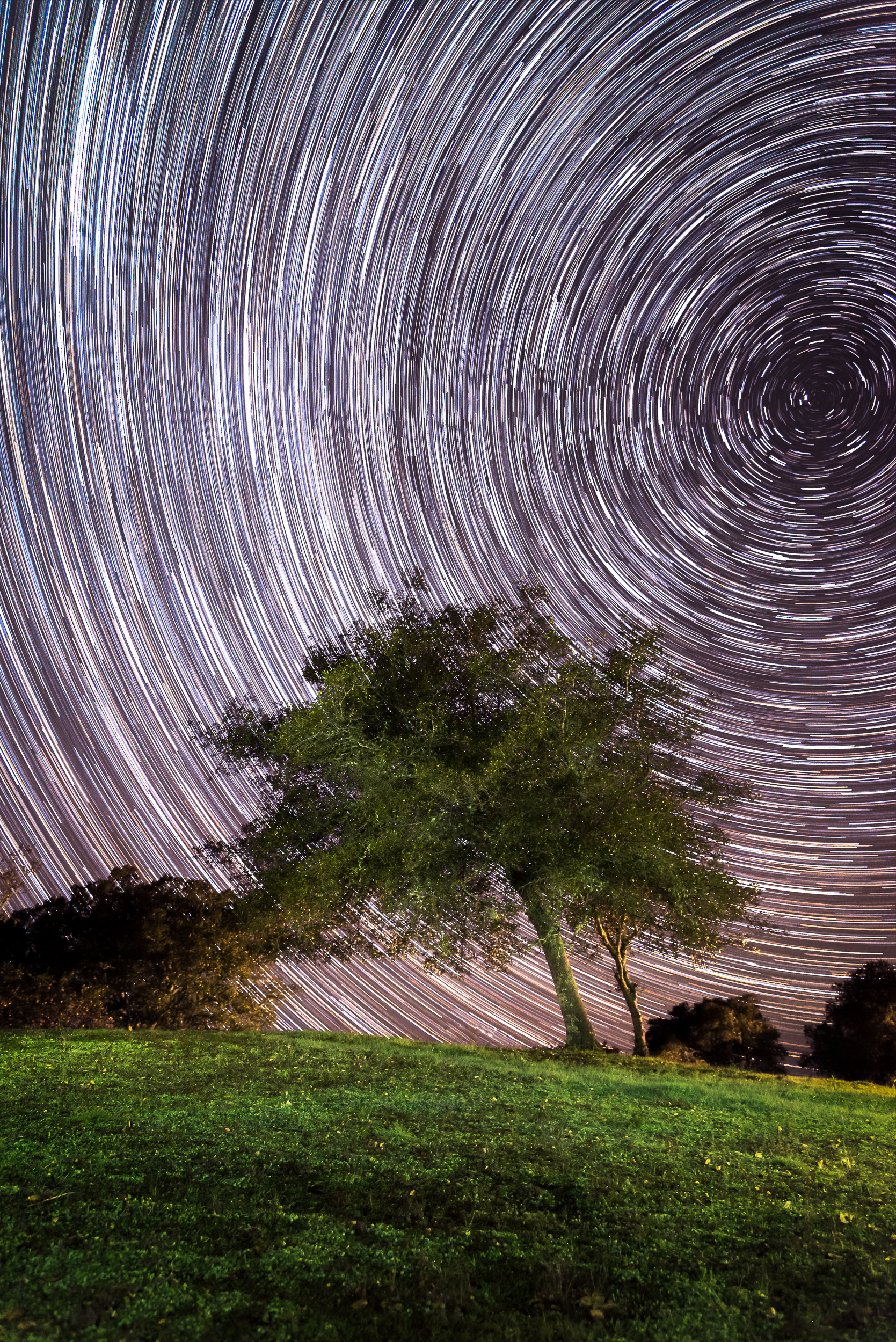 Star Trails