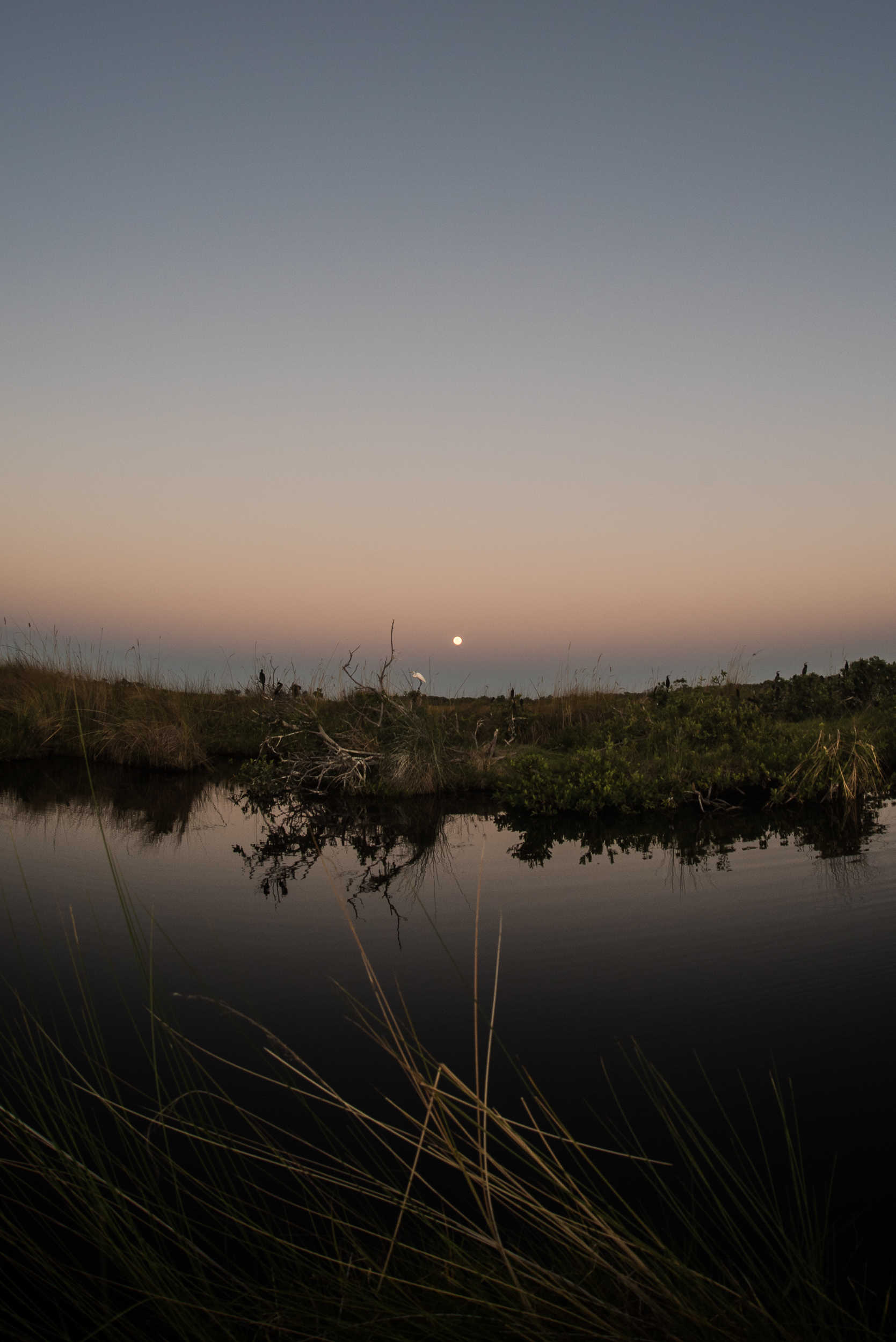 Fisheye Moonrise Over Chobe