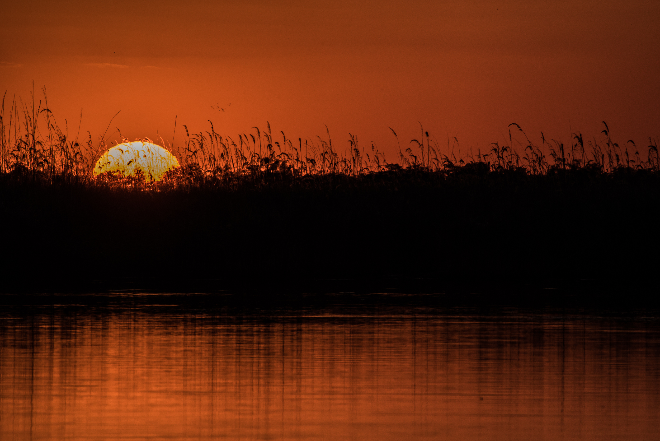 Chobe Setting Sun