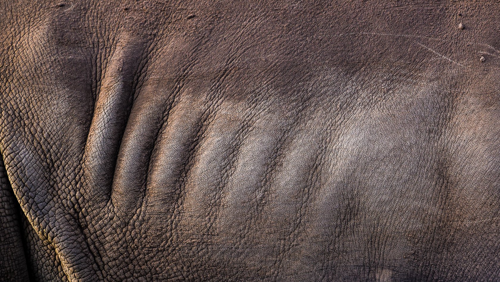 South Africa Safari-3.jpg