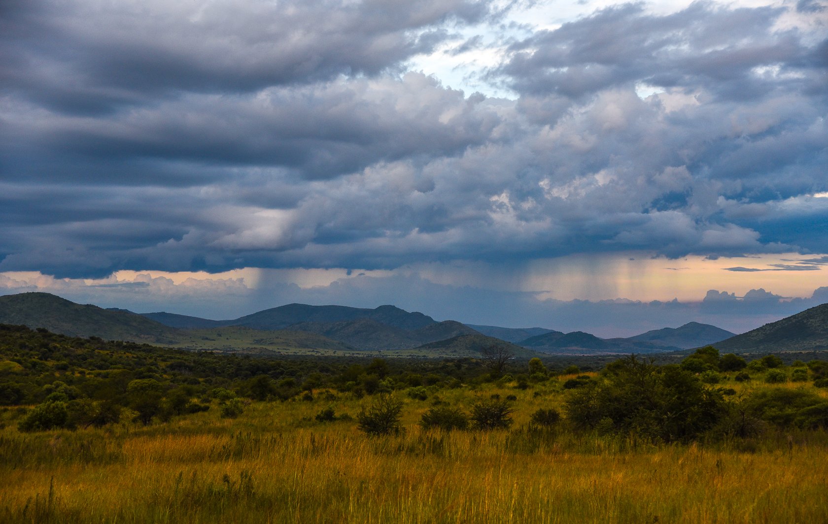 South Africa Safari-6.jpg