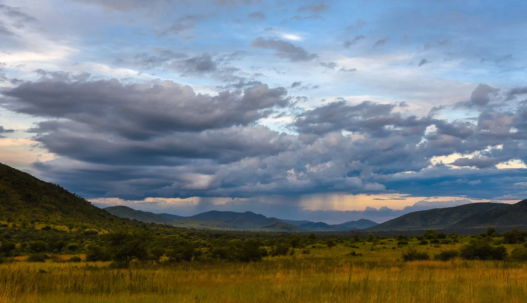 South Africa Safari-7.jpg