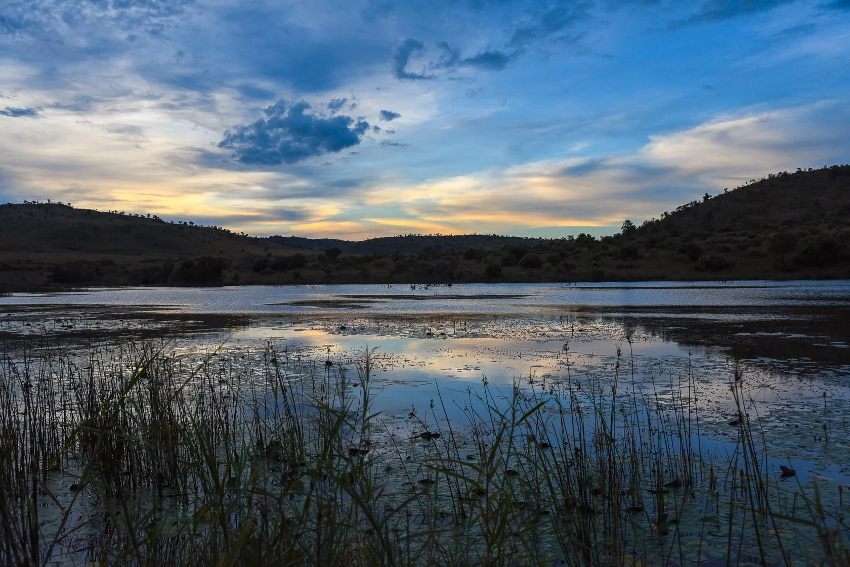 South Africa Safari-9.jpg