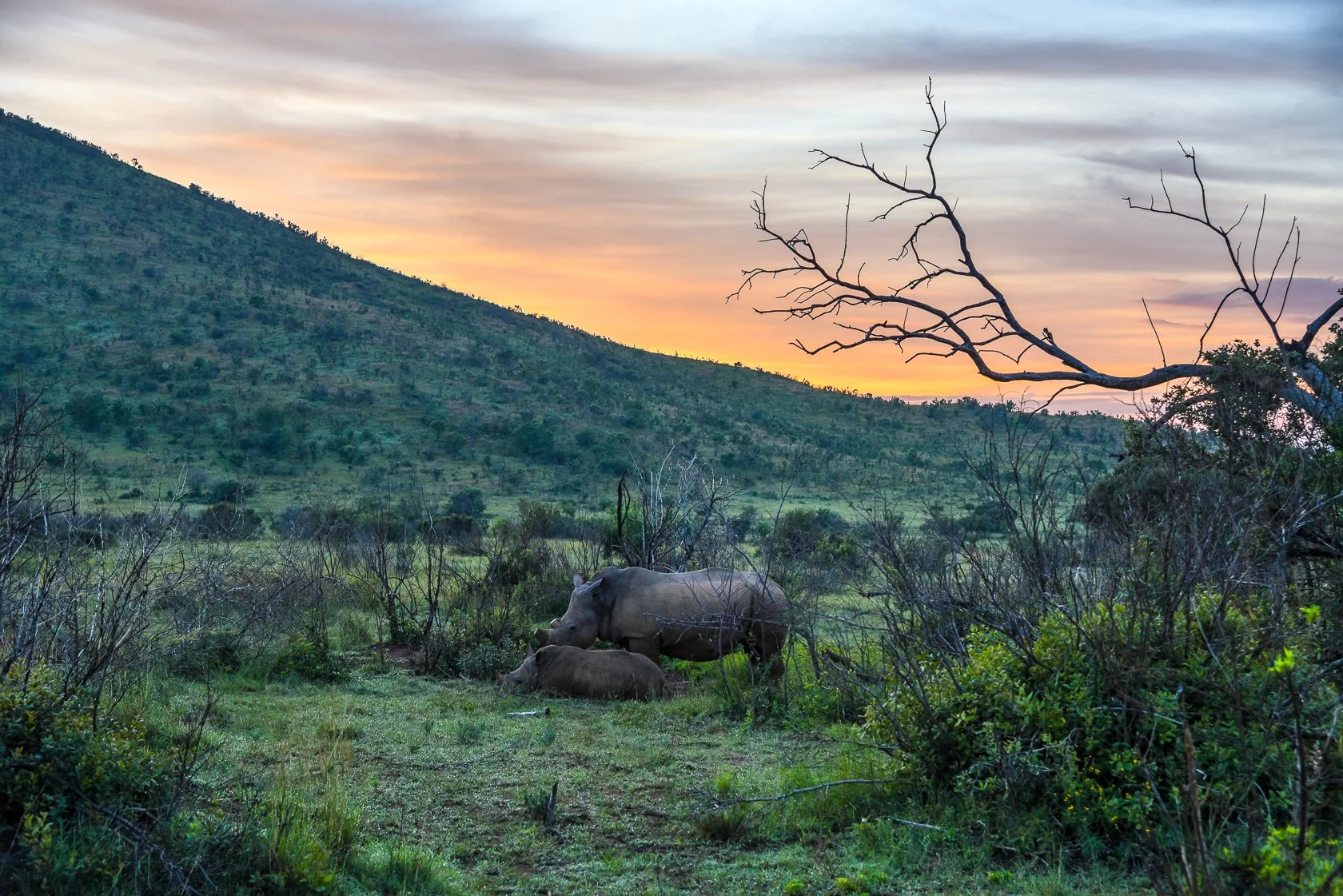 South Africa Safari-12.jpg