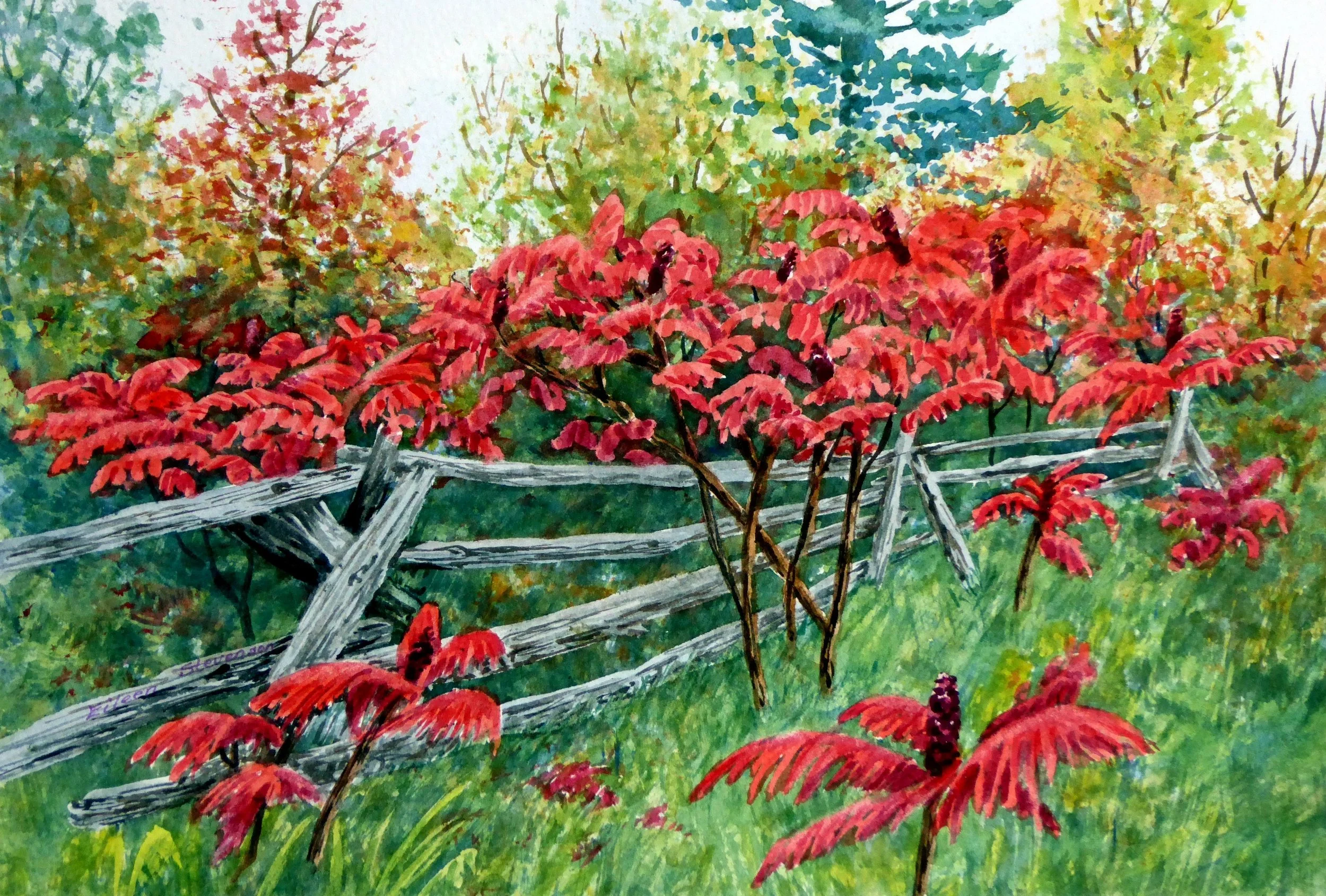 Fence among the Sumac