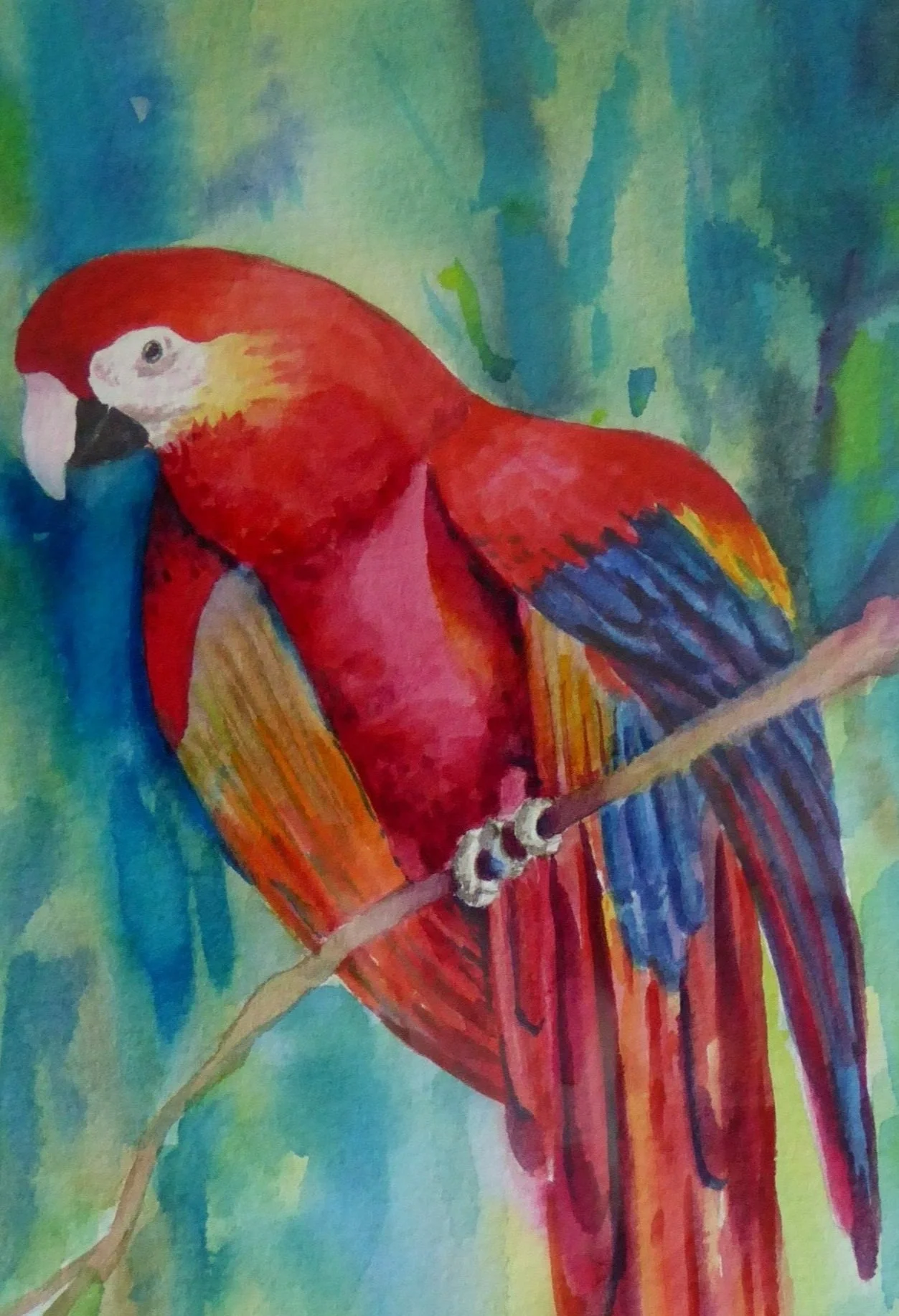 357%2BParrot%2BPerch.jpg