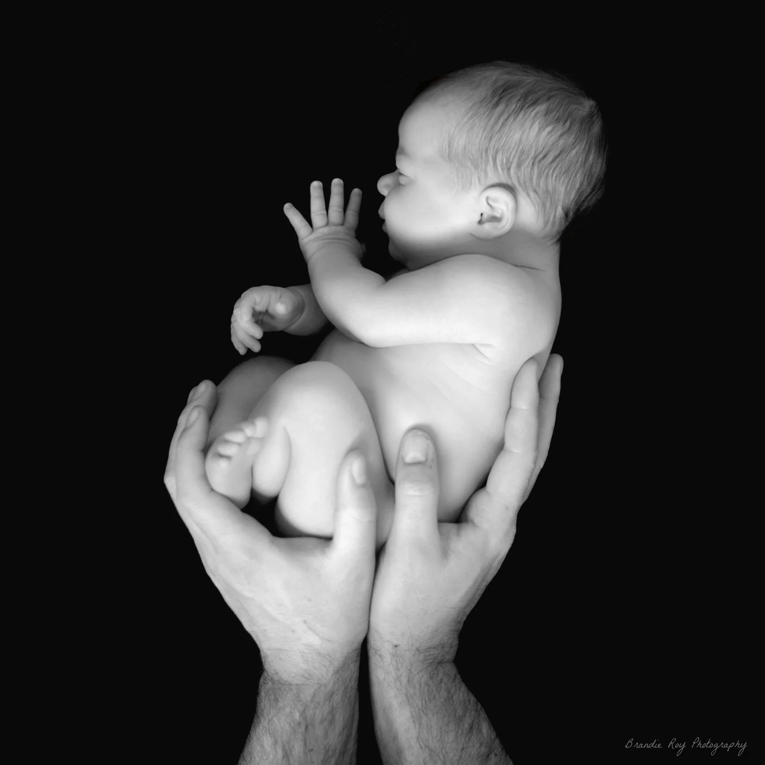 DSC_4068 Dads Hands.jpg