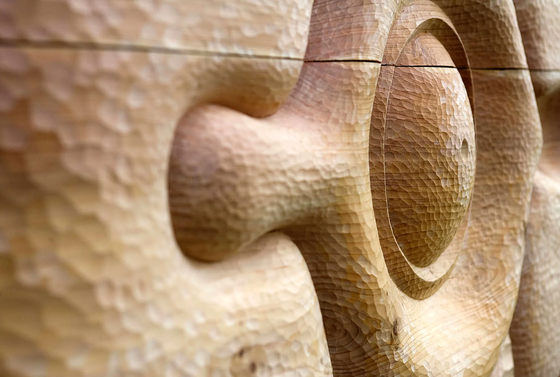 No Titel Relief made of western red cedar wood, 110 cm X 150 cm, 2014. Sold