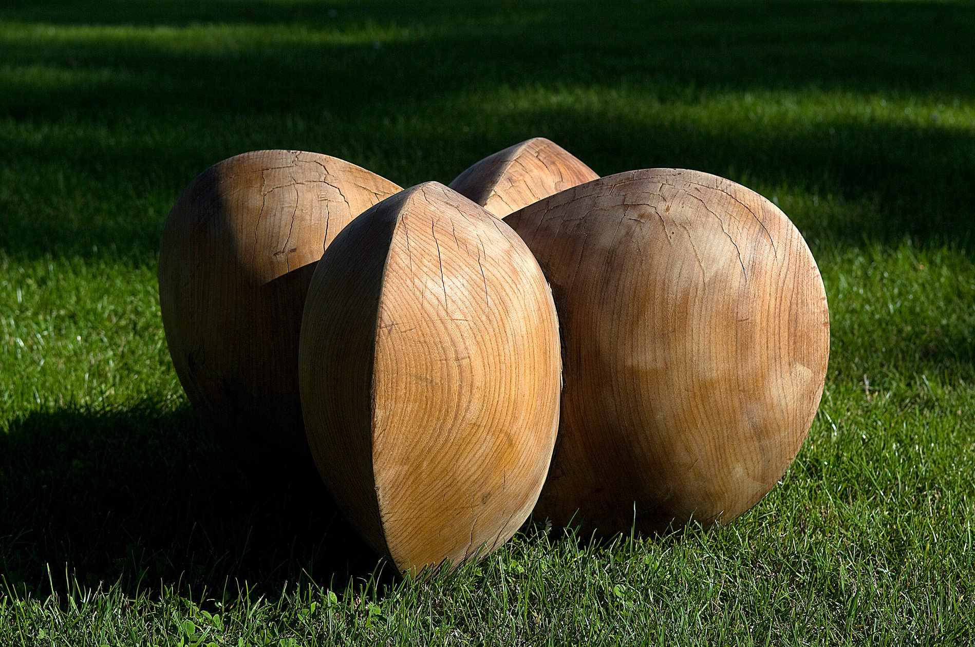    Euonymus seed    Elm wood, 60 cm X 60 cm, Sold    